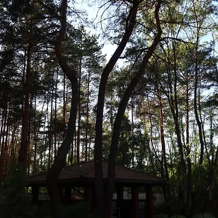 Villa Lesna Pod Warszawa Jacuzzi, Sauna, Kominek, Sport & Joga